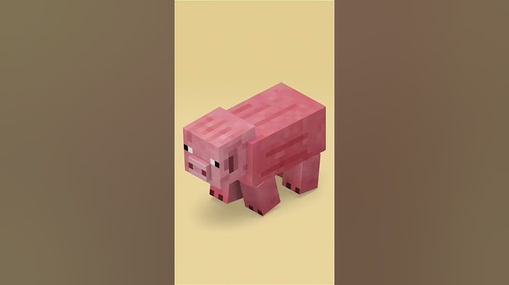 Esse é o Porco do Minecraft,ele é bem adorável, a sua cor é rosa.