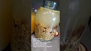 Живой овсяный квас #овсяныйквас #квас #живойквас