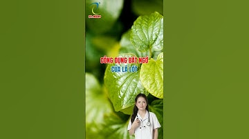 Công dụng bất ngờ của lá lốt