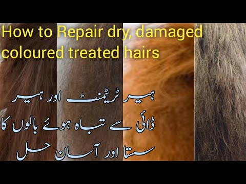 How to repair your dry and damaged hair at home Best hair treatment for coloured and damaged hair