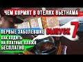 Инфекции во Вьетнаме 2019. Платные пляжи. Русские кафе в Муйне.