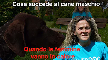 Quanto costa un'ora di cavallo?