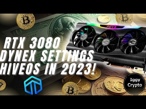 RTX 3080 Dynex Settings HiveOS in 2023!