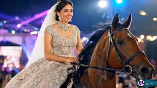 Magical Fairy-Tale Entrance On Horseback Beautiful Horse Riding Girls