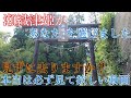 ※超強力 神の力⚠️必ず瀬織津姫の愛に包まれて下さい⚠️高千穂で今一番注目を浴びている瀬織津姫神社【宮崎県高千穂町 瀬織津姫神社】【祭神：瀬織津姫】