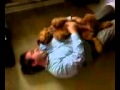 Zeke, the golden doodle puppy,  attacking Steve when he got home from work.3g2