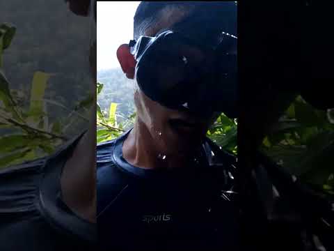 ผลสลากกินแบ่งรัฐบาล วันที่ 1 พย. 2567