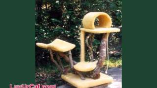 Natural Bark Cat Trees, Perches, and Condos