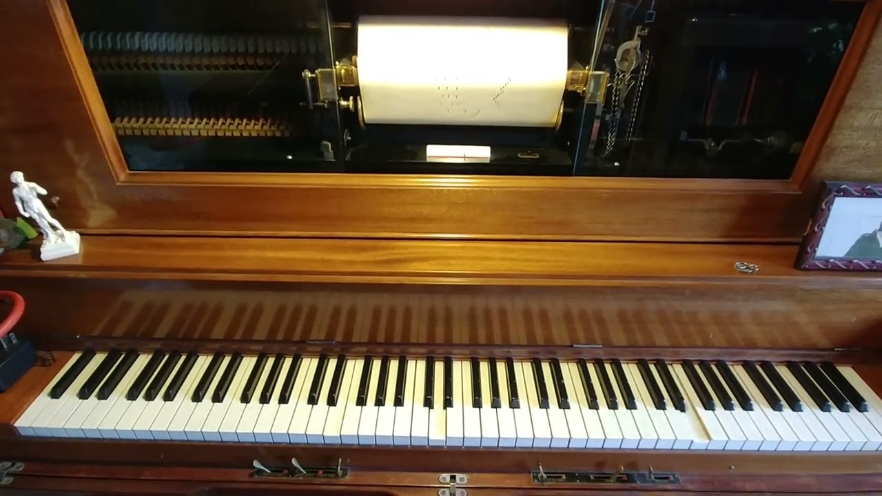 Flight of the Bumblebee....January 29, 2026