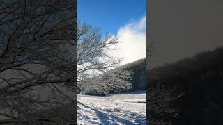 beautiful noon winter day in the mountains