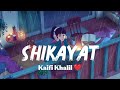 SHIKAYAT🥹 (Slowed + Reverb) | Viral Sad Song | Lofi Mix 2025