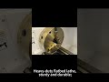 #CK6150 #CNCLathe #MetalMachining #FactoryMachine