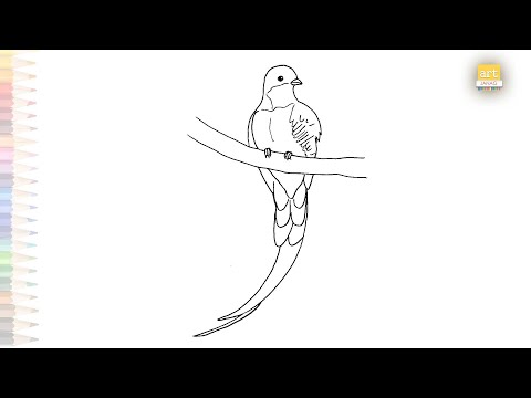 Quetzal Bird easy drawing | Art tutorial | How to draw A Quetzal