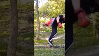 Stepping In Jumping Spinning Hook Kick