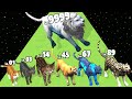 Wolf Evolution 3D - Level Up Wolf Max Level Gameplay