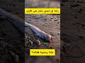 قوة الماء في أعماق البحر | حيث ينحني الحديد #السعودية #اكسبلور #ترند #خندق_ماريانا #بحار #غموض#فيديو