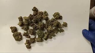 THCa Small buds. Honest. Review.
