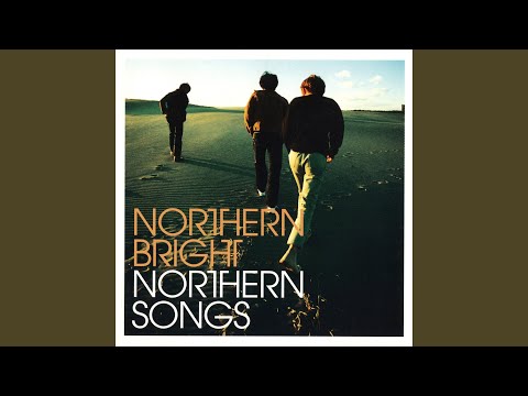 northern bright - Wildflower