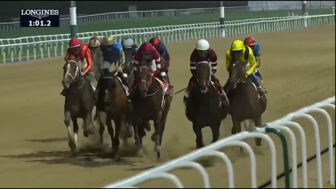 ドバイワールドカップ 2026（フォーエバーヤングが出走）競馬 - YouTube