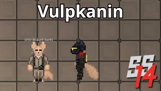 SS14 - Vulpkanin Species Showcase