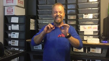 Part One: Buying a reptile on Morph Market and what to watch out for!