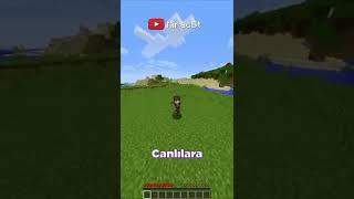 Minecraft Ama Abone Olup Like Atarsanız Rastgele Canlılara Dönüşüyorum.. #shorts