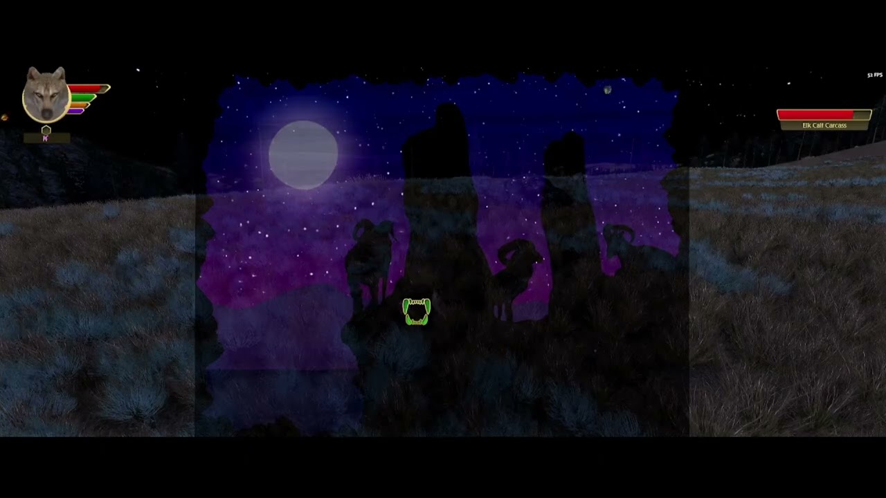 A New Wolf (Ultra Iron Wolf Challenge) Saga #1