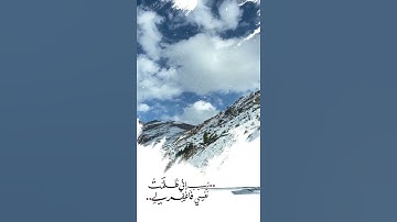 القارئ/ الشيخ ياسر الدوسري ⬆ قال ربي اغفر لي 🌿 فغفر له🌱