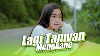 Dj Remix Viral Tiktok Terbaru 2023 - Dj Lagi Tamvan Full Bass Jedag Jedug Lagu Pargoy Ngarit Mancing