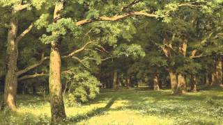 Robert Wallace - Flora screenshot 3