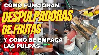 Como Funciona Una Despulpadora De Frutas Sus Partes Y Tipos De Frutas Somo Maplascali