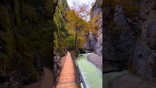 Would You Like To Travel Here? 📍 Aareschlucht (Aare Gorge) In Switzerland #Switzerland #Autumn