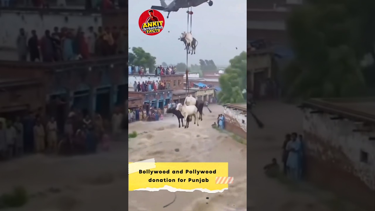 How much Bollywood and Pollywood donate for Punjab - Pray For Punjab 🙏🏻 - ANKIT INTERESTING FACTS