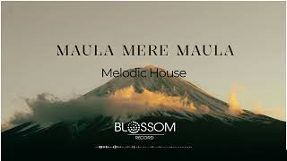 Maula Mere - Amy & Vøltx (Melodic Techno Remix) Anwar