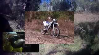 Dbw 2 Extreme Bright Vid Including Arm Wresting Wild Horses