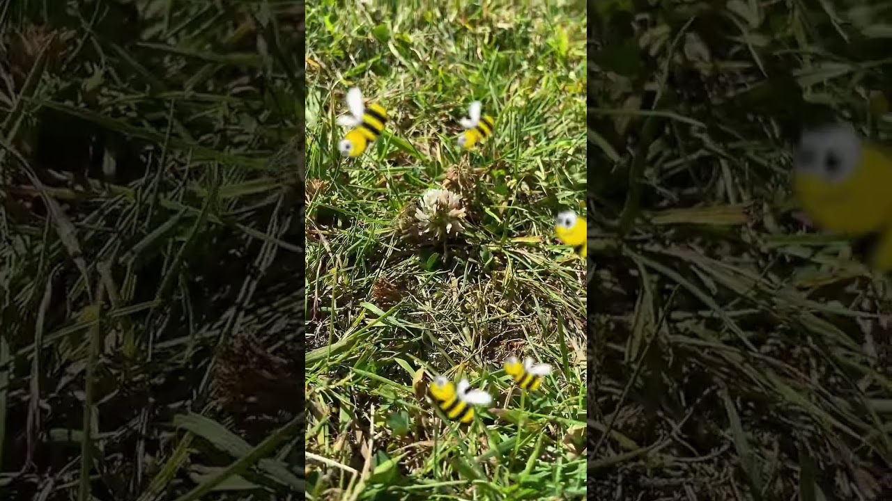 Buzzing Bees and Clover Patch Animation