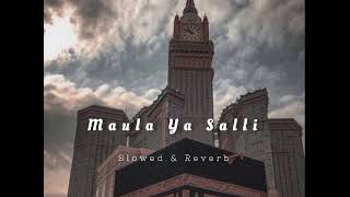 Maula Ya Salli - Ramadan Special Lofi 2024| Slowed & Reverb #lofi