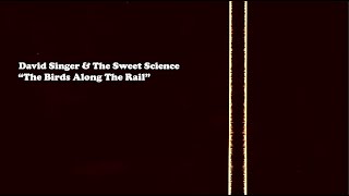David Singer The Sweet Science, The Birds Along The Rail