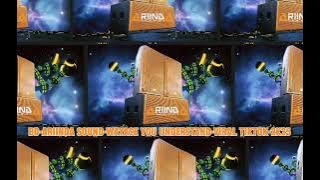 BD-ARIINDA SOUND-WAYASE YOU UNDERSTAND-VIRAL TIKTOK-2K25