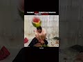 Yazılımın Önemli Kuralı #yazılım #siberguvenlik #shorts