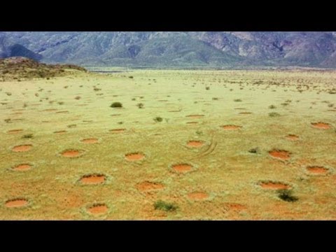 "Fairy Circle" Mystery Possibly Solved in Africa
