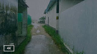 Heavy Rain Walking Tour in Our Village | ASMR Rain Sounds for Sleeping | Our Rain Walks Compilation