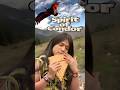 Leo Rojas • El Condor Pasa | Spirit of Freedom #leorojas #elcondorpasa #nativeflute #naturesounds