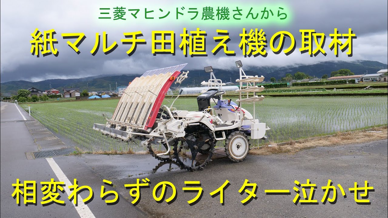 Interviewed by Mitsubishi Mahindra Agricultural Machinery, Rice Interviewed by Mitsubishi Mahindra Agricultural Machinery, Rice