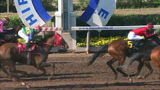 Vidéo de la course PMU PRIX YACIMIENTO