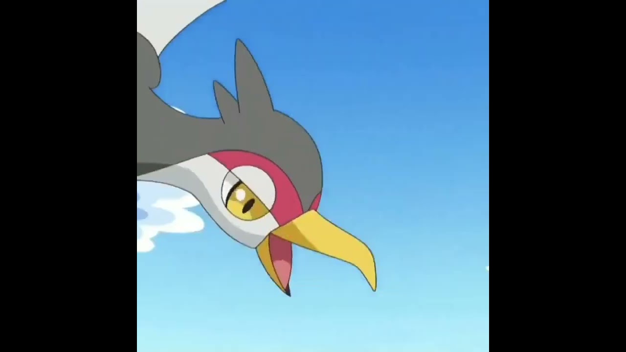 Pokemon Pidove Evolution Cycle 