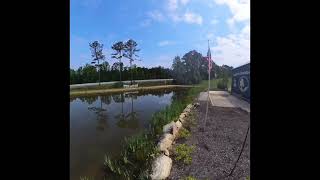 Aquatic weed management in ponds and small lakes. Controlling plants is important to fish health