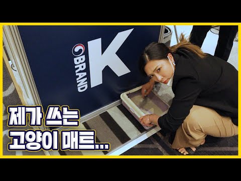 (<strong>고양이</strong> 매트 <strong>추천</strong>)