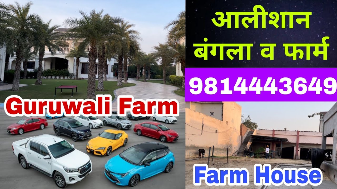 आलीशान बंगला व फार्म - गुरुवाली बाबा जी - देखिए आज की वीडियो बाबाजी का पूरा फार्म (9528000007)