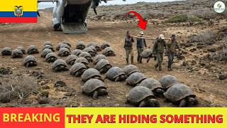 Ecuador RELEASES 39 GIANT TURTLES ONTO A DEAD ISLAND - What Happened Next Shocked Scientists